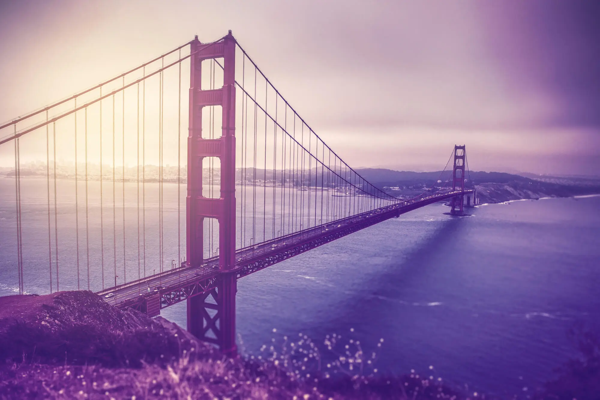 Attracting Guests in the Off-Season: Tips for Year-Round Bookings in San Francisco, CA